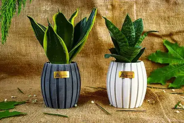 گلدان تبلیغاتی